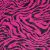 Cebra Fucsia