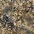 ANIMAL PRINT FLOR
